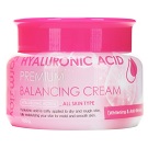 Балансирующий крем с гиалуроновой кислотой FarmStay Hyaluronic Acid Premium Balancing Cream 100 г